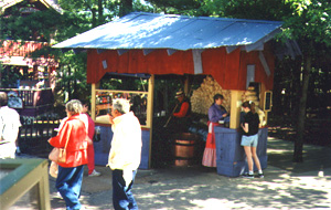 permanent location setup silver dollar city